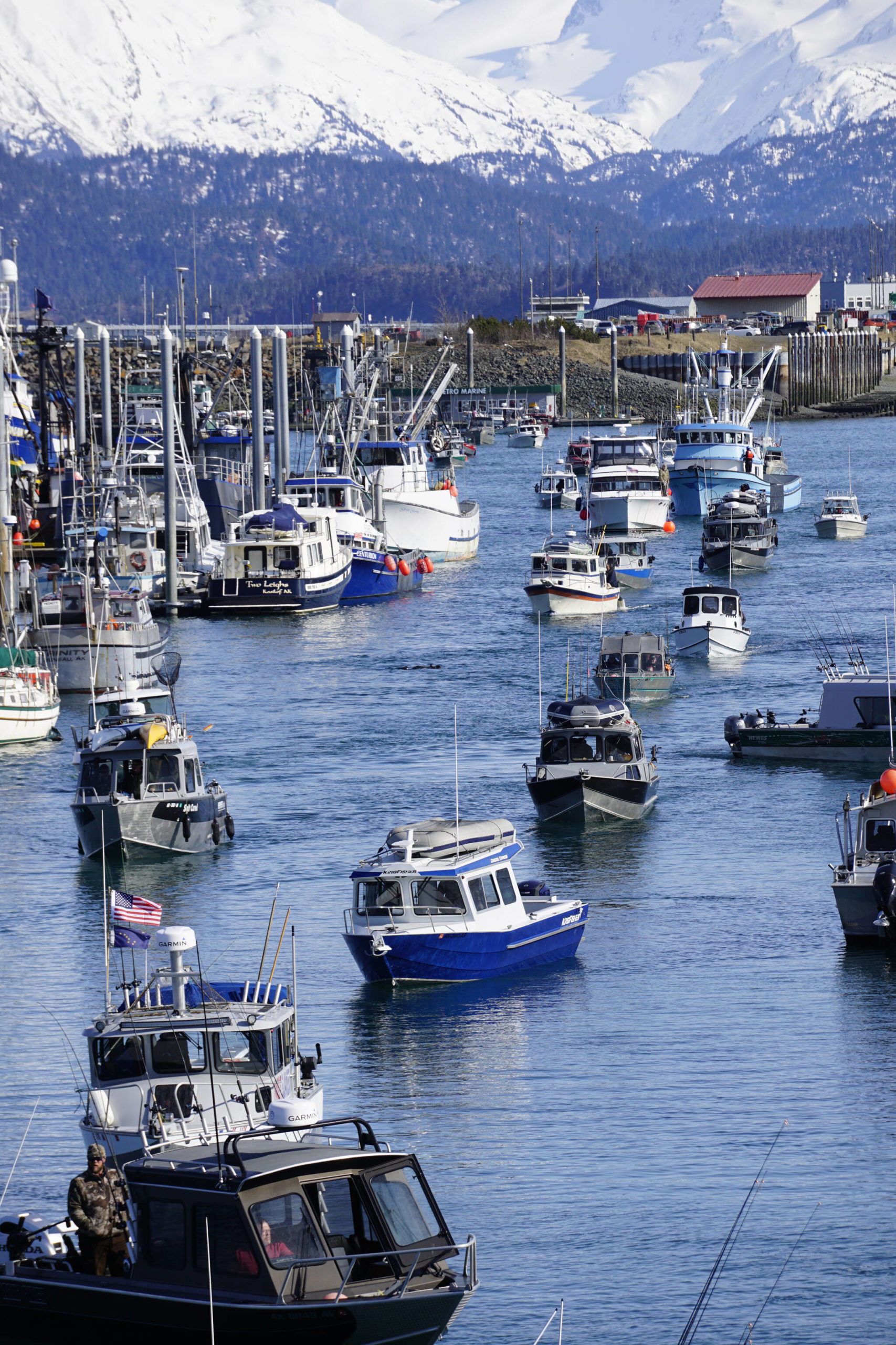 Fishing boats return to the harbor during the 28th annual Homer Winter King Salmon Tournament on Sunday, April 10, 2022, in Kachemak Bay, Homer, Alaska. (Photo by Michael Armstrong/Homer News)