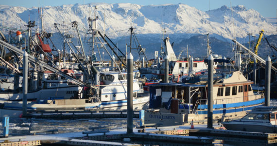 Commercial fishing and other boats are moored in the Homer Harbor in this file photo. (Photo by Michael Armstrong/Homer News)