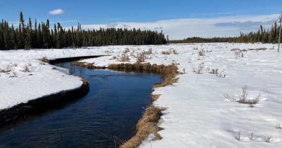 Photo by Jeff Helminiak/Peninsula Clarion
The west fork of the Moose River in the Kenai National Wildlife Refuge, March 23, 2022.