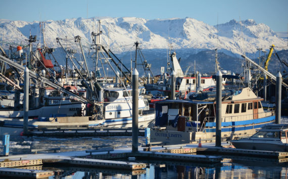 Commercial fishing and other boats are moored in the Homer Harbor in this file photo. (Photo by Michael Armstrong/Homer News)