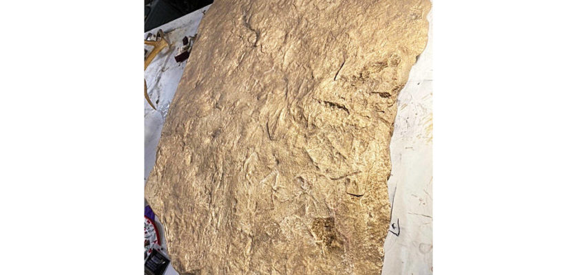 Photo by Ellen Jakovich.
Numerous bird tracks can be seen in this photo of a cast made of a rock slab containing ancient bird tracks discovered by Steve Friend on the Anchor Point beach east of the Anchor River.