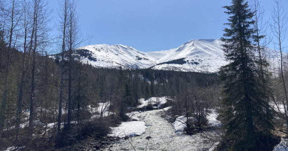 Mills Creek, May 11, 2022. (Photo by Jeff Helminiak/Peninsula Clarion)