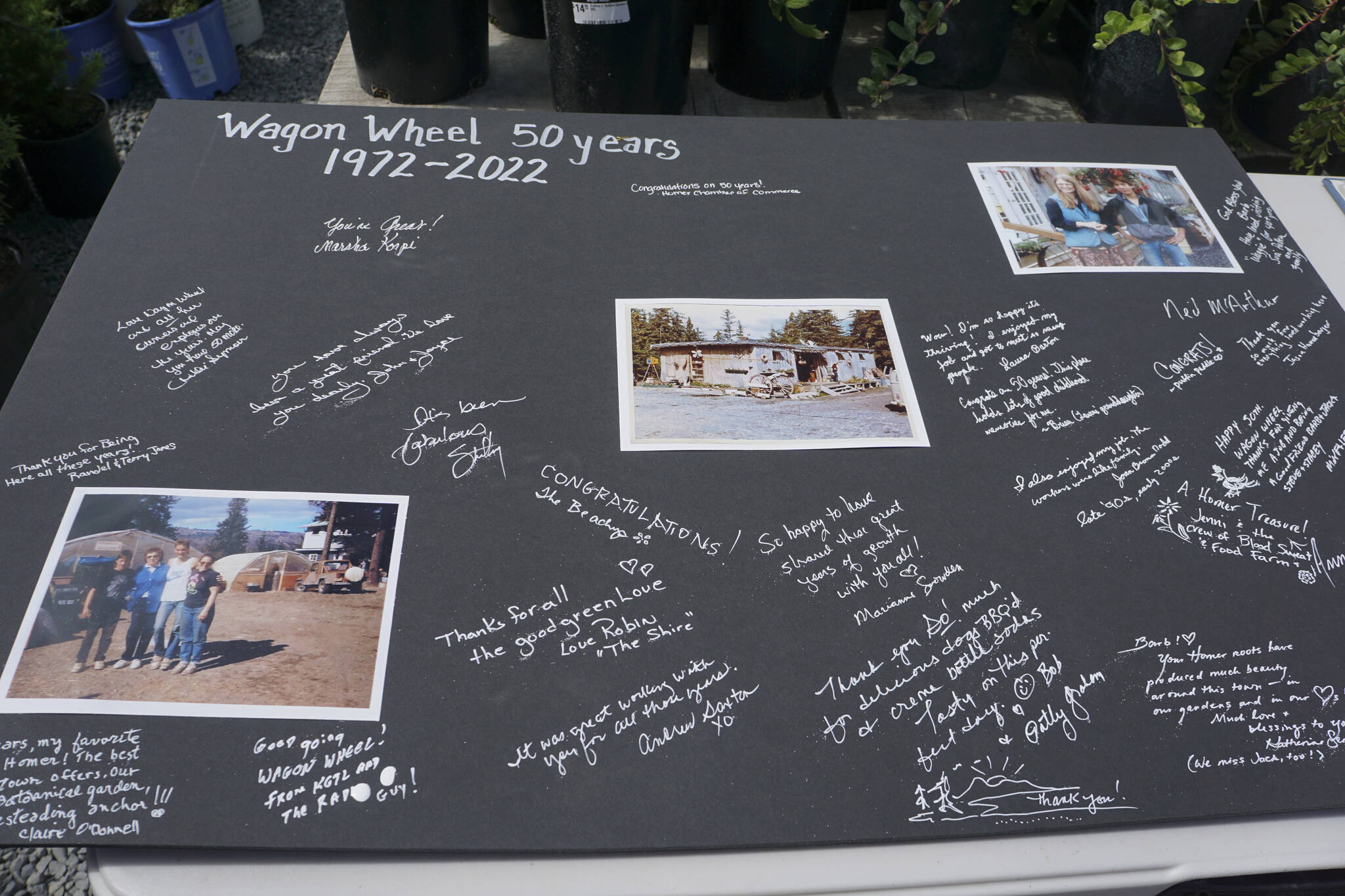 People signed a card for Wagon Wheel Garden & Pet founder Barb Walker at the 50th anniversary celebration of the iconic Homer store on Friday, June 10, 2022, in Homer, Alaska. (Photo by Michael Armstrong/Homer News)