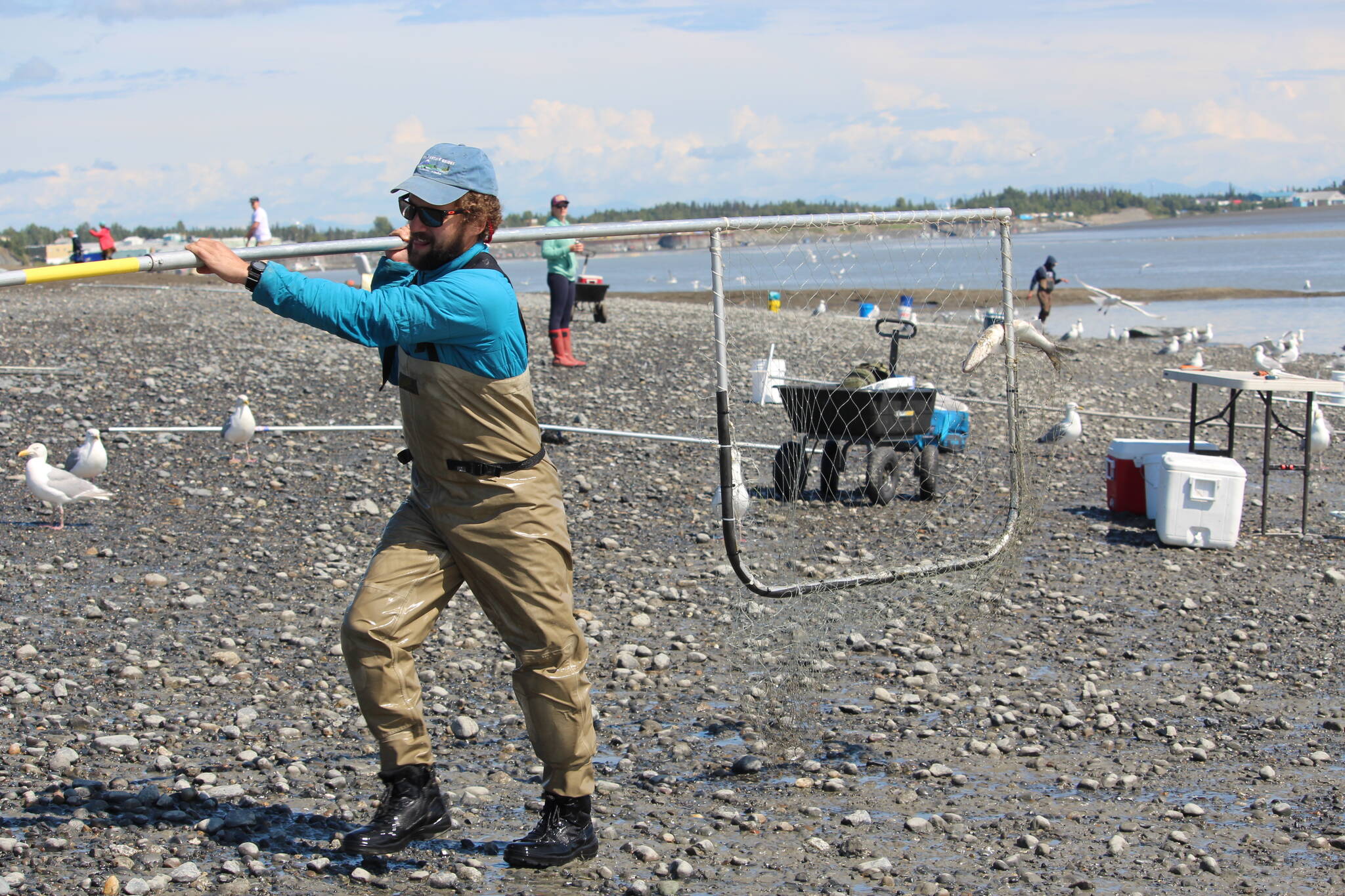 Shawn Dick of Talkneetna carries a fresh catch out of the water while dipnetting on the Kenai Beach on July 10, 2020. (Peninsula Clarion file)