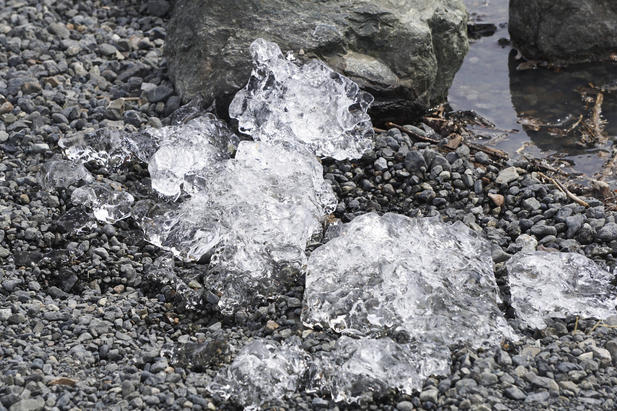 Ice thaws on the shore of Grewingk Glacier Lake on Monday, July 25, 2022, in Kachemak Bay State Park near Halibut Cove, Alaska. (Photo by Michael Armstrong/Homer News)
