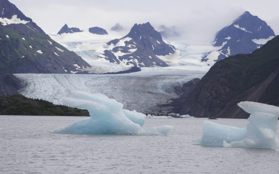 Icebergs have been pushed close to shore at Grewingk Glacier Lake on Monday, July 25, 2022, in Kachemak Bay State Park near Halibut Cove, Alaska. (Photo by Michael Armstrong/Homer News)