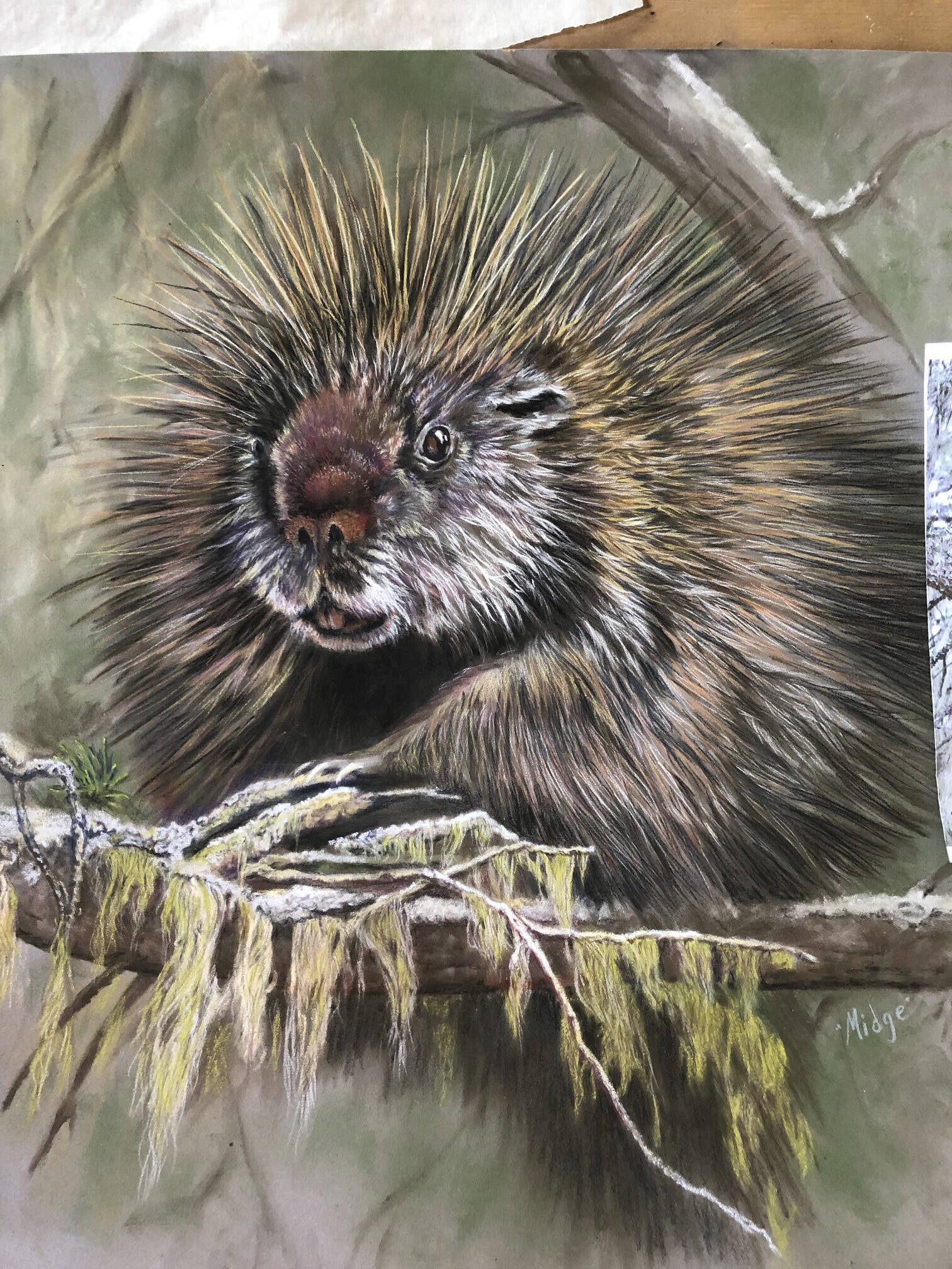 Photo provided
A pastel drawing from Turea M. “Midge” Grice’s show opening Friday, Aug. 5, at Fireweed Gallery in Homer.