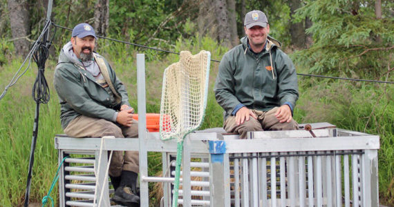 Ken Gates (left) and Jim Boersma at the Funny River weir in Kenai National Wildlife Refuge, Alaska. (Photo by Katrina Liebich/USFWS)