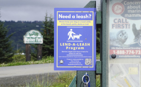 Leashes to lend hang from a kiosk at Mariner Park on Friday, Aug. 12, 2022, in Homer, Alaska. (Photo by Michael Armstrong/Homer News)
