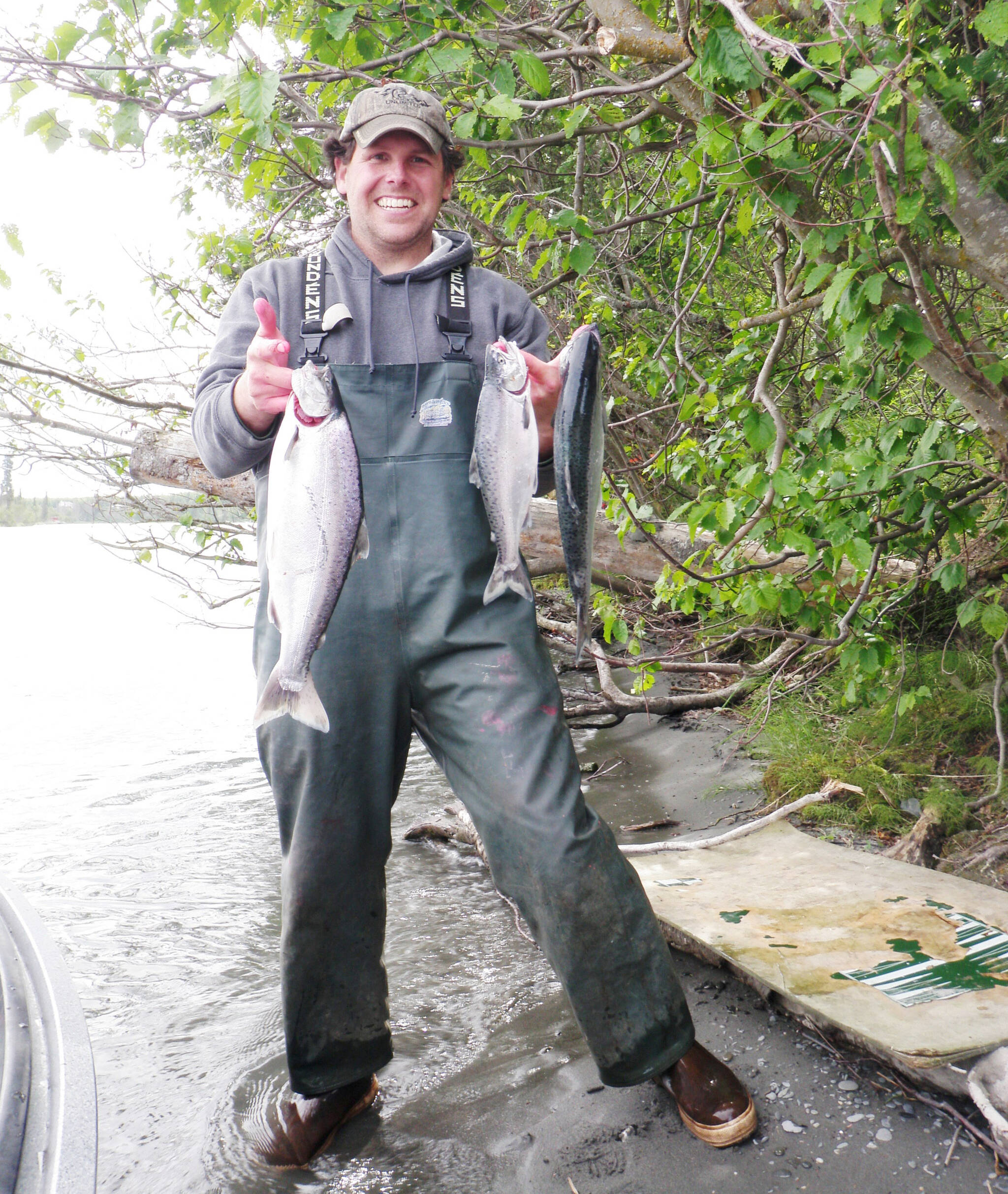 Photo by Ken Gates 
Some great examples of genetic diversity with Kenai River king salmon populations.