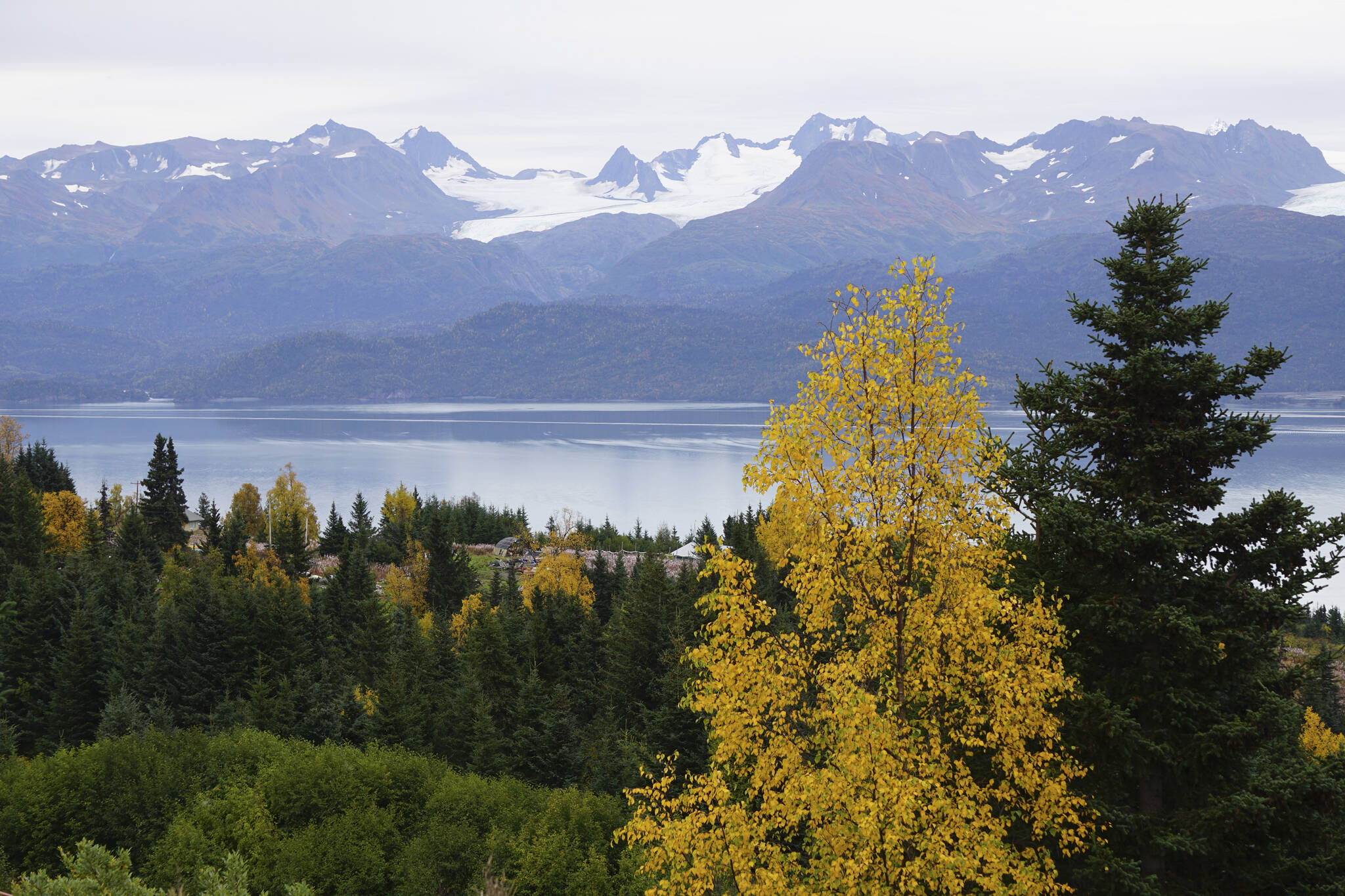 Birch trees have begun to turn yellow in this view of the Maria Road area and across Kachemak Bay as seen on Sunday, Sept. 18, 2022, from Old East End Road near McNeil Canyon, Alaska. (Photo by Michael Armstrong/Homer News)