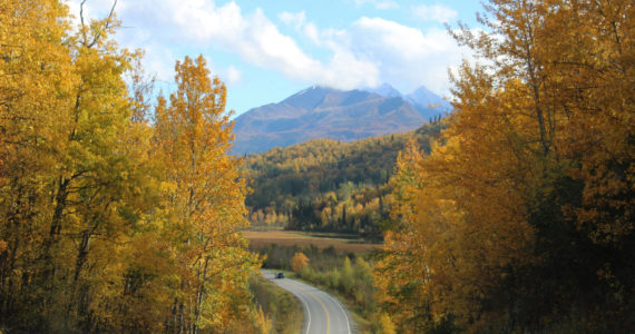 Fall colors frame Knik River Road on Saturday, Sept. 16, 2022 in Knik River, Alaska. (Ashlyn O'Hara/Peninsula Clarion)