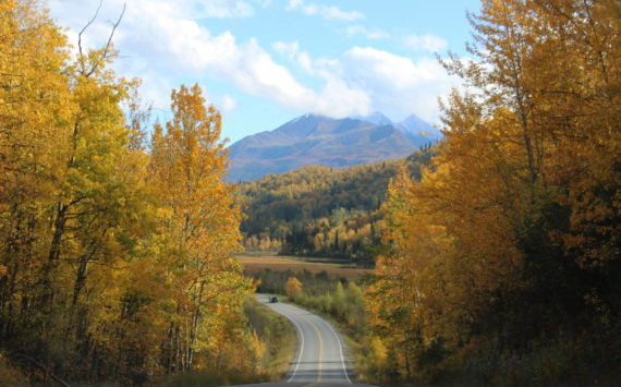Fall colors frame Knik River Road on Saturday, Sept. 16, 2022 in Knik River, Alaska. (Ashlyn O'Hara/Peninsula Clarion)