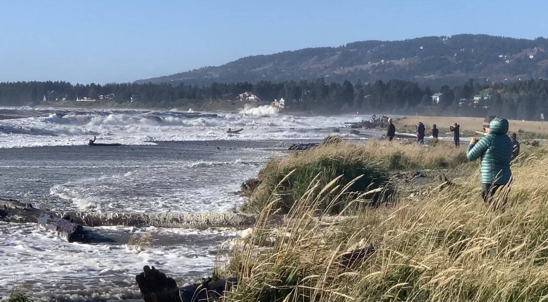 Community members take in the wind and waves at Mariner Park Beach on Sunday, Oct. 9, 2022, in Homer, Alaska. (Photo by Christina Whiting/Homer News)