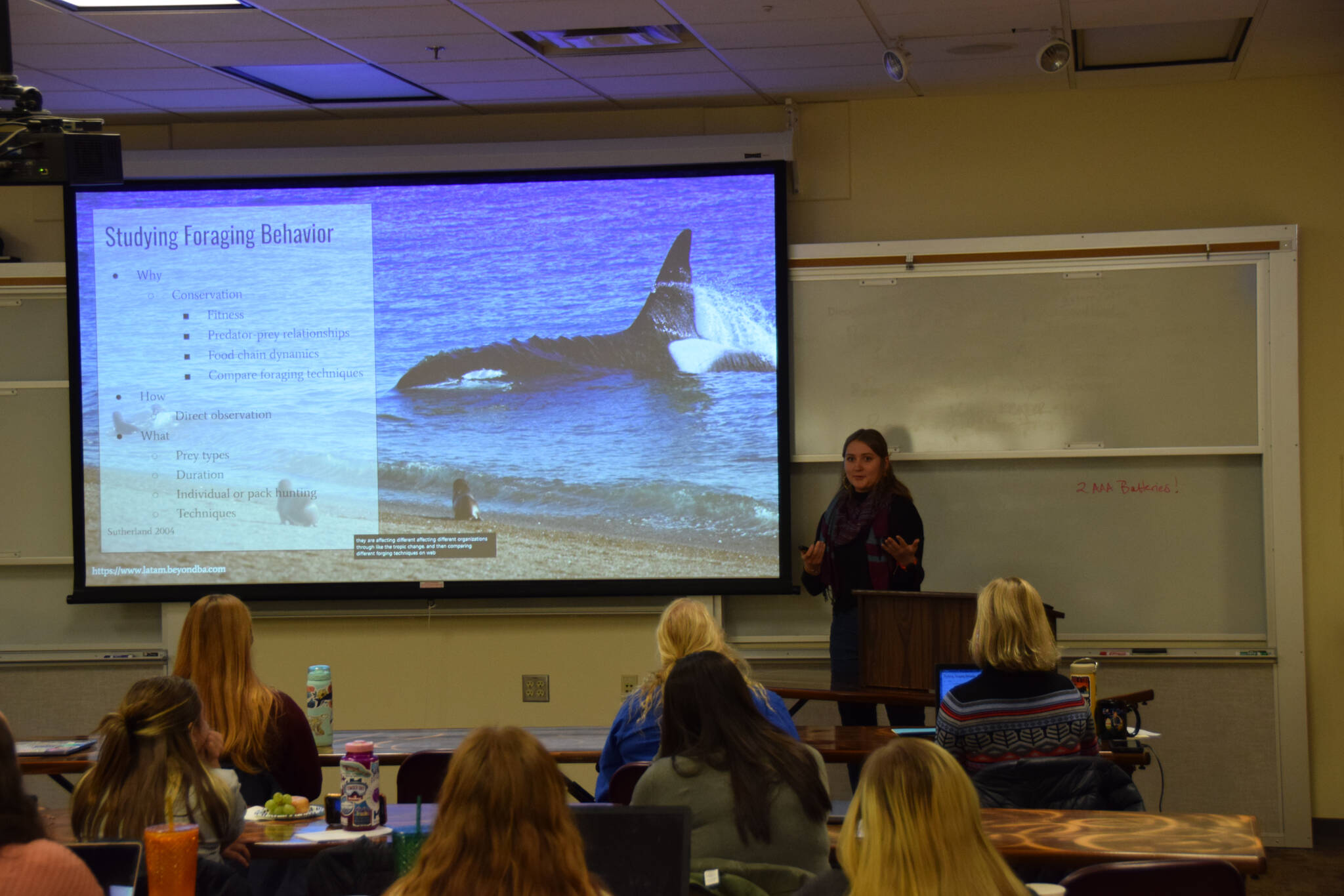 Jamie Hoy, a Montana State University student who is participating in the Kachemak Bay Campus of Kenai Peninsula College, University of Alaska Anchorage’s, “Semester by the Bay” program, gives a presentation on orca whales at the Marine Mammal Biology Symposium on Friday, Nov. 4 in Homer. (Photo by Charlie Menke / Homer News)