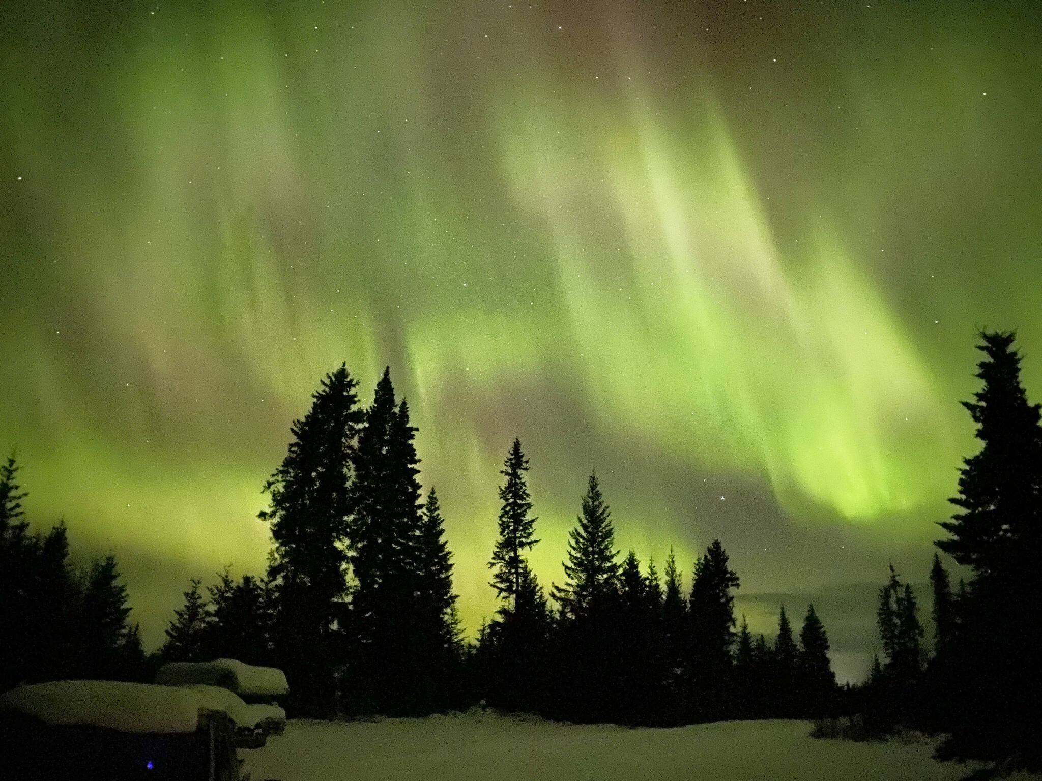 The northern lights shine early on Thursday, Nov. 3, 2022, as seen from north of Homer, Alaska. (Photo by Callie Steinberg/Homer News)
