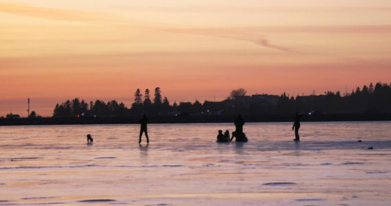 Sunset skate
Skaters catch the last rays of the sun on Beluga Lake on Tuesday, Nov. 29, 2022, in Homer, Alaska. (Photo by Michael Armstrong/Homer News)