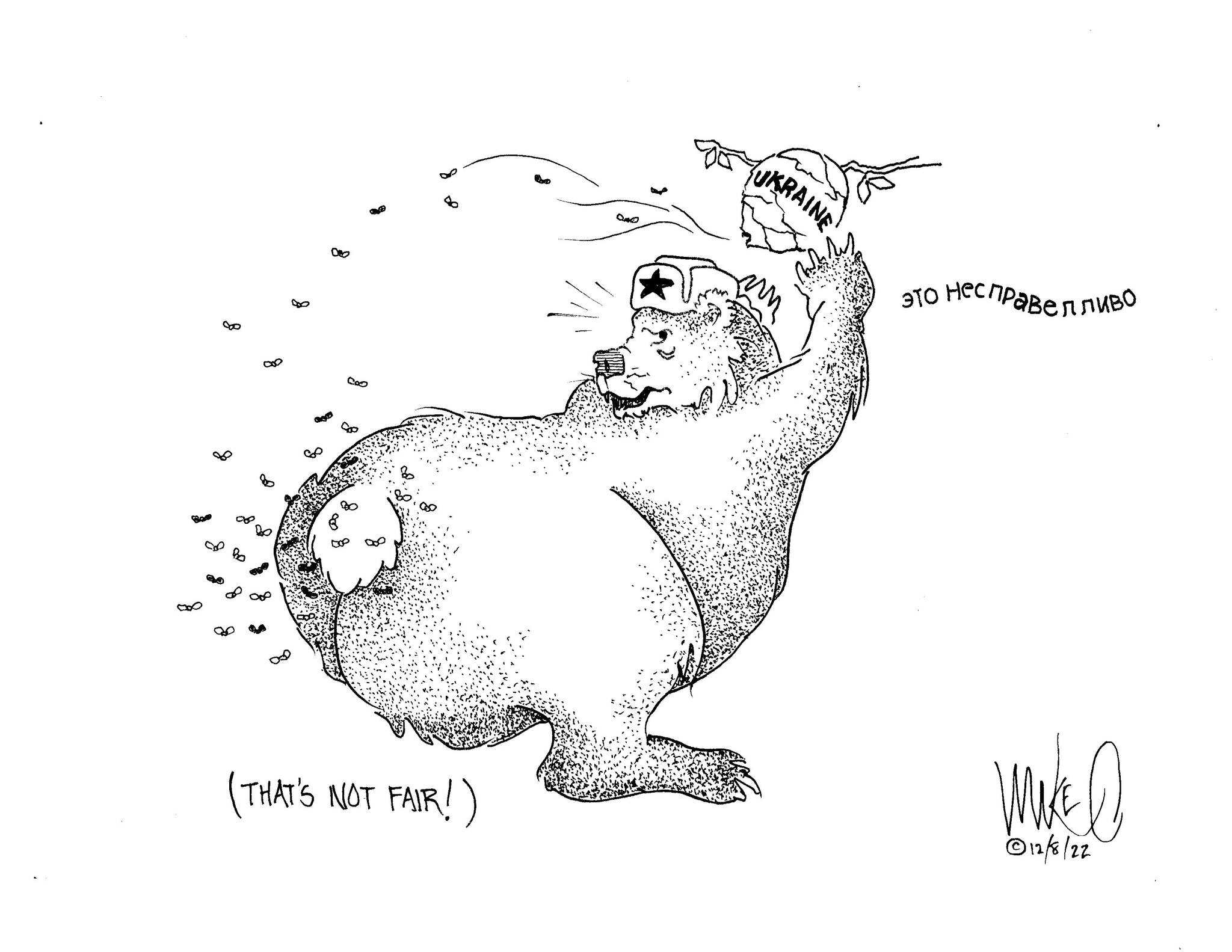 Michael O’Meara’s cartoon for Dec. 8, 2022.