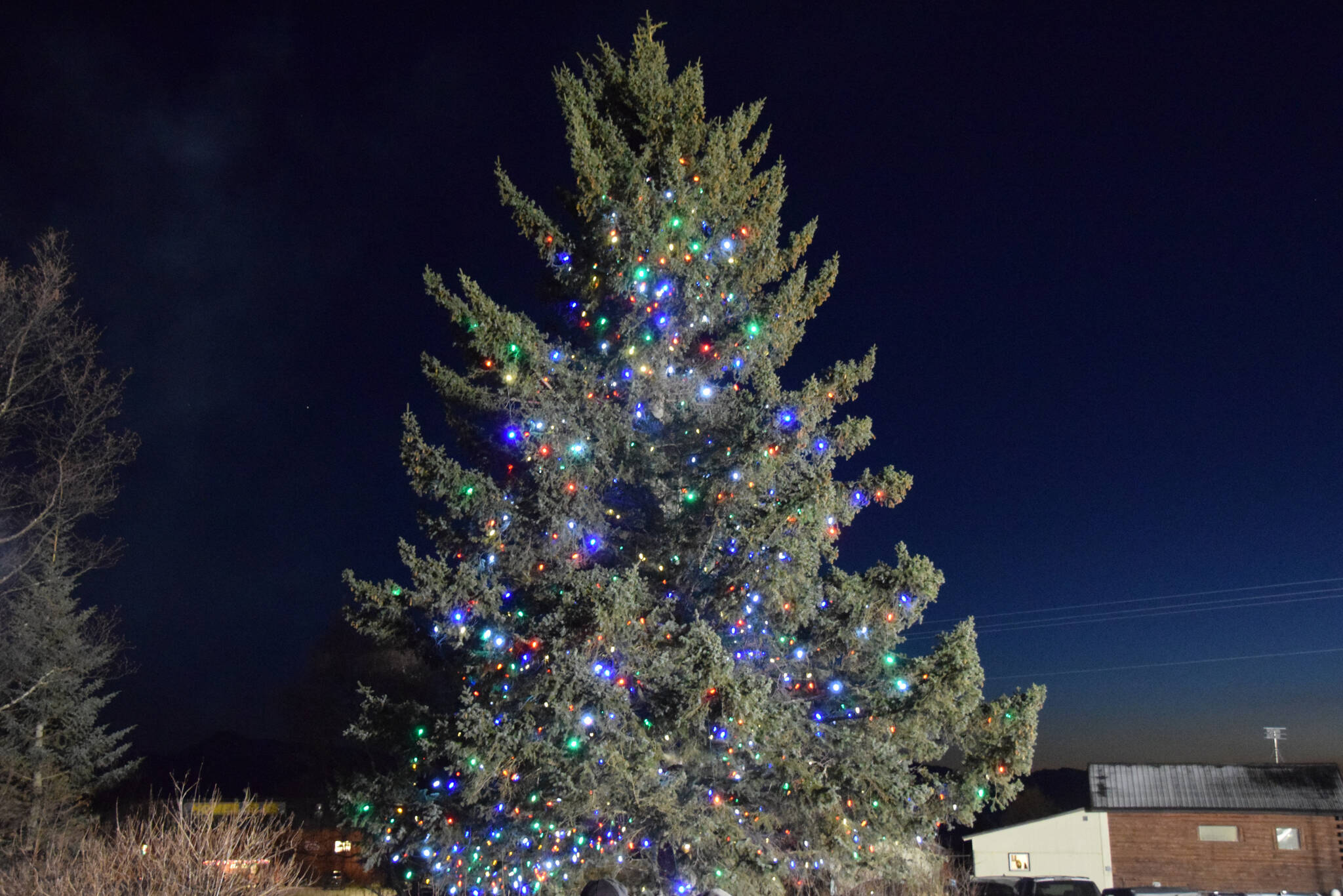 The Christmas tree on Thursday, Dec. 1, 2022 at Homer Chamber of Commerce in Homer. (Photo by Charlie Menke / Homer News)