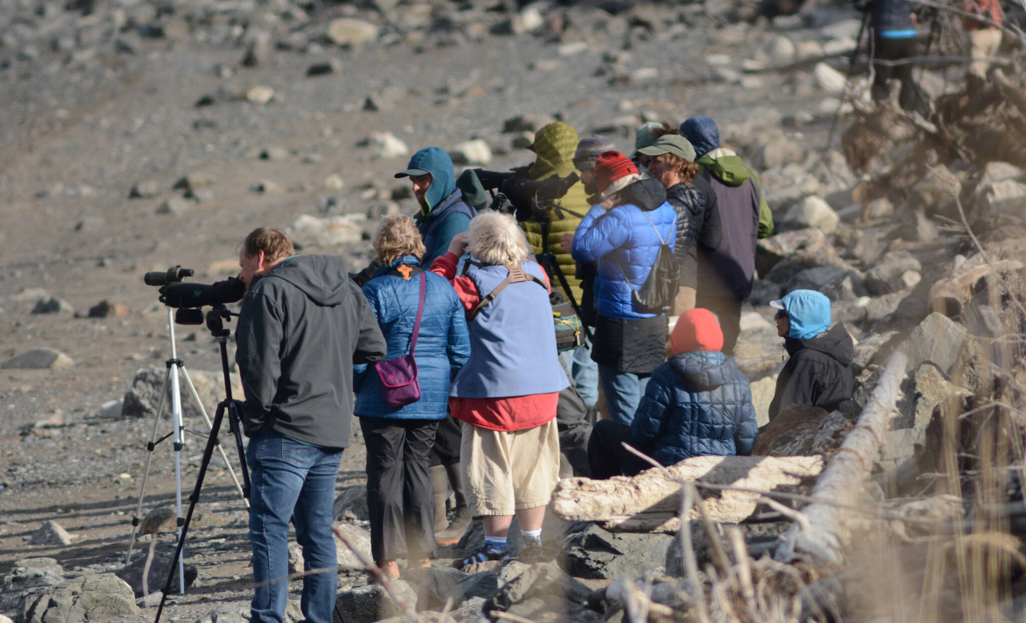 Photo by Michael Armstrong/Homer News 
Birdwatchers scan Mud Bay for birds on Friday, May 6 during the Kachemak Bay Shorebird Festival.