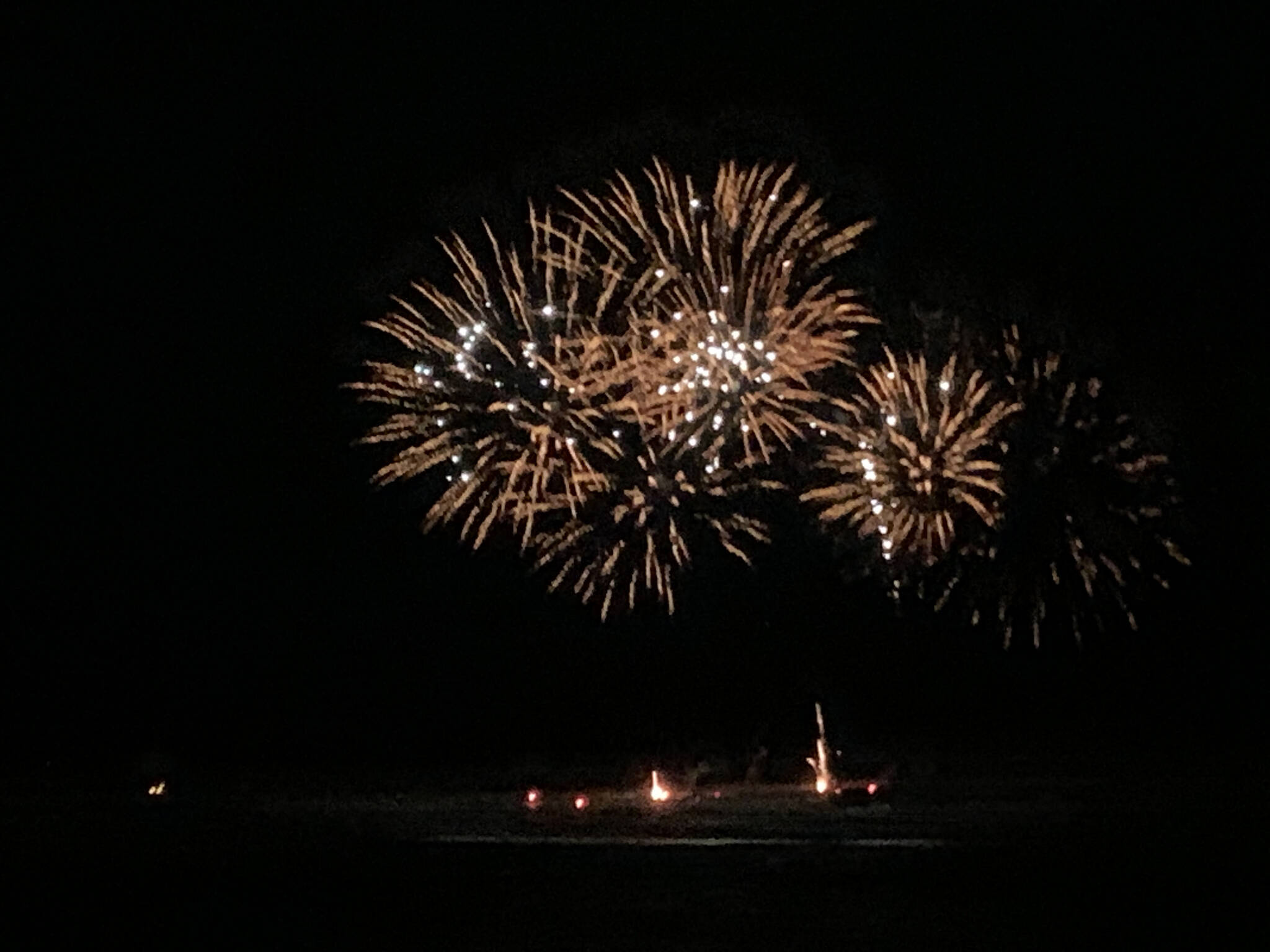 New Years Eve fireworks display at Mariner Park beach (Christina Whiting/Homer News)