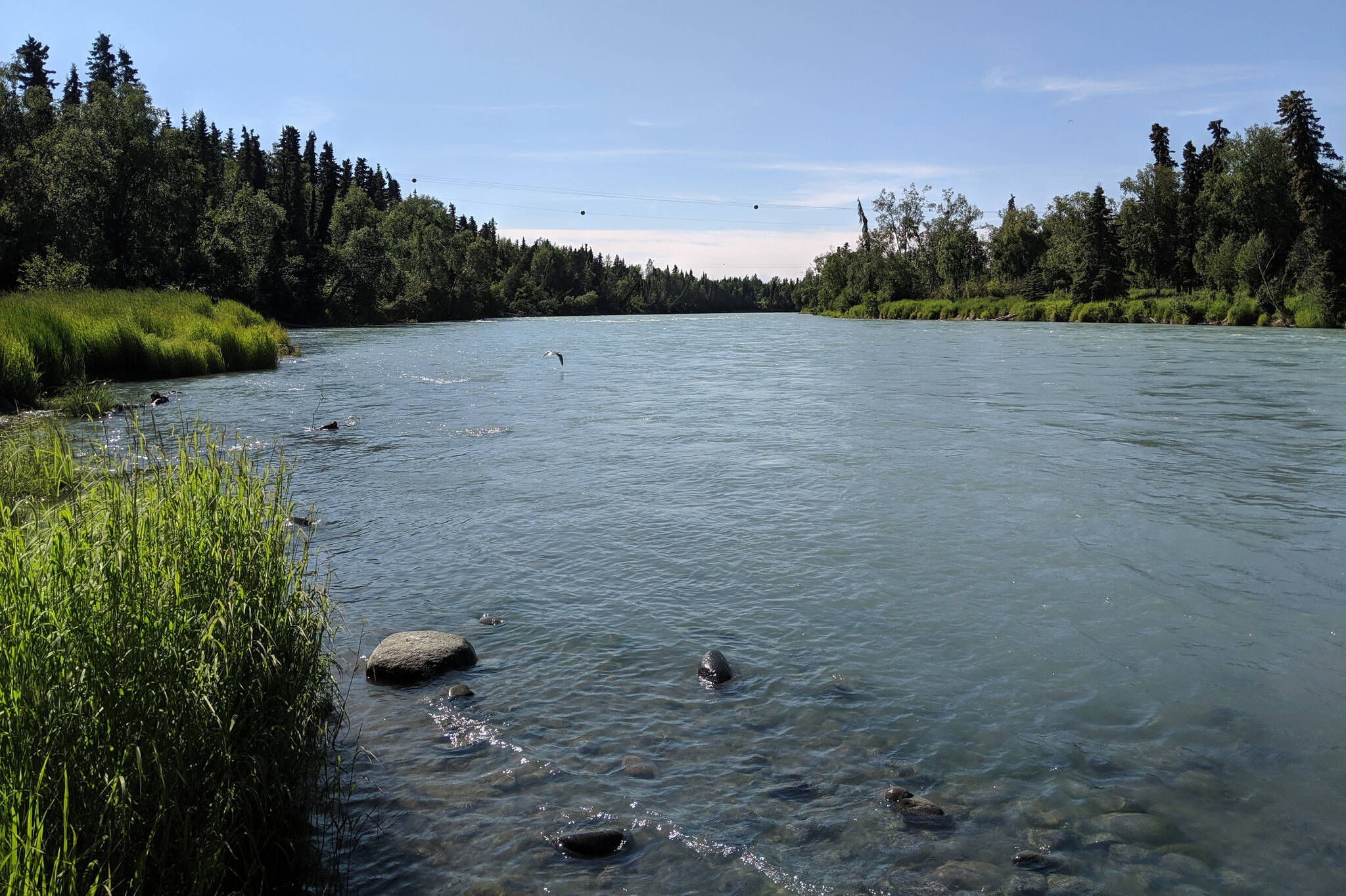 The Kasilof River can be seen in June 2019. (Clarion file)