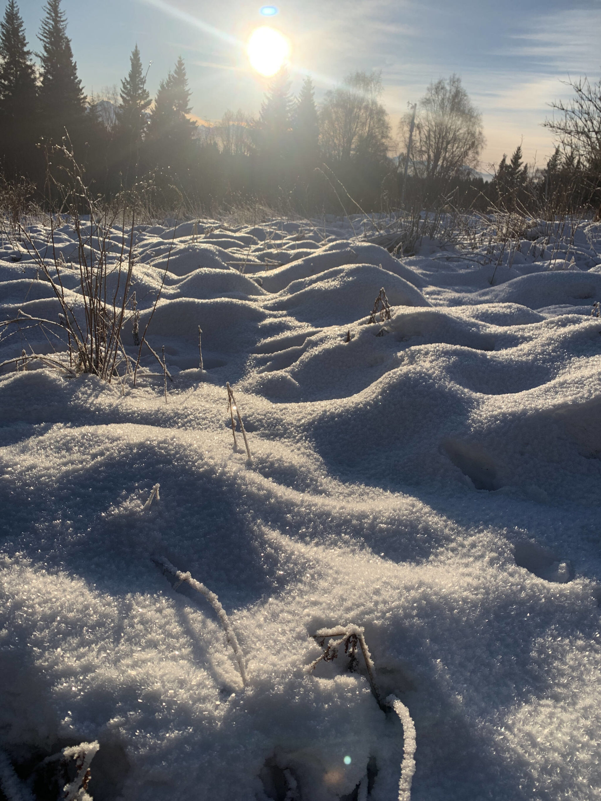 Snow mounds on a local trail (Photo by Christina Whiting/Homer News)