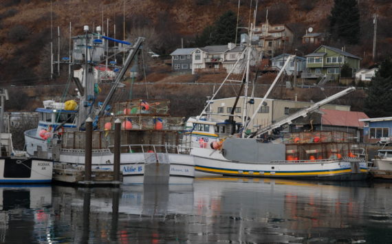 Homer seine vessels Allie B and Hadassah on Friday Jan. 20 in the Kodiak Harbor. Photo from Ivan Stonorov.