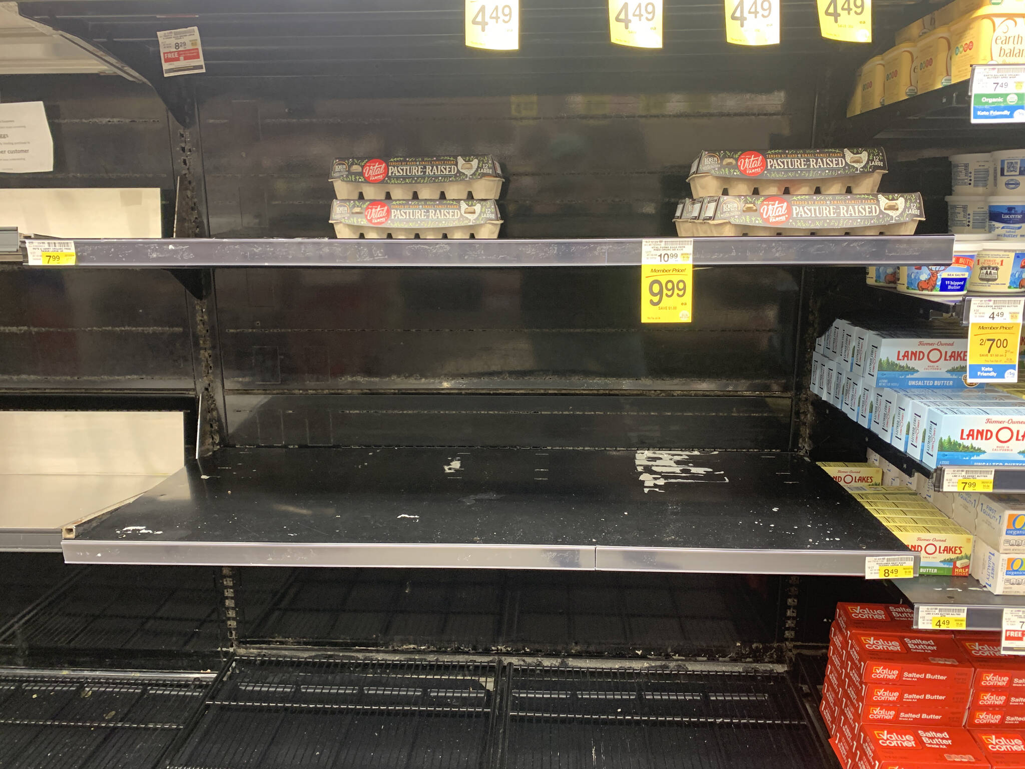 An egg shelf at Safeway is mostly empty, Jan. 23, 2023, in Homer, Alaska. (Photo by Christina Whiting)
