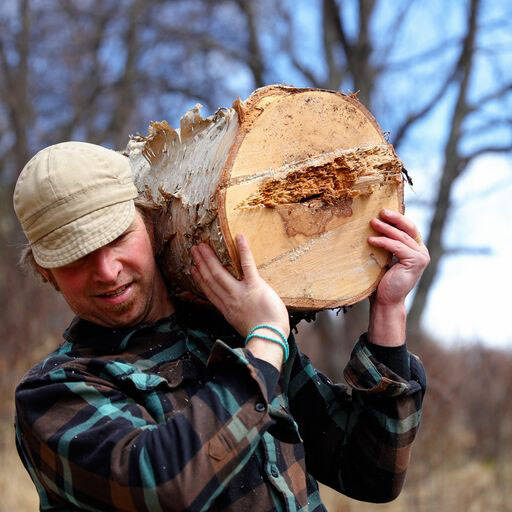 Homer woodworker Tony Perelli hauls a piece of wood that he will turn into bowls, plates, or spoons in this undated photo. (Photo by Brad Hillwig/courtesy)