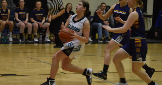 Nikiski’s Ember Nelson looks to shoot, closely pursued by Homer’s Minadora Reutov and Hannah Stonorov during a basketball game on Tuesday Feb. 21, 2023, at Nikiski Middle/High School in Nikiski, Alaska. (Jake Dye/Peninsula Clarion)