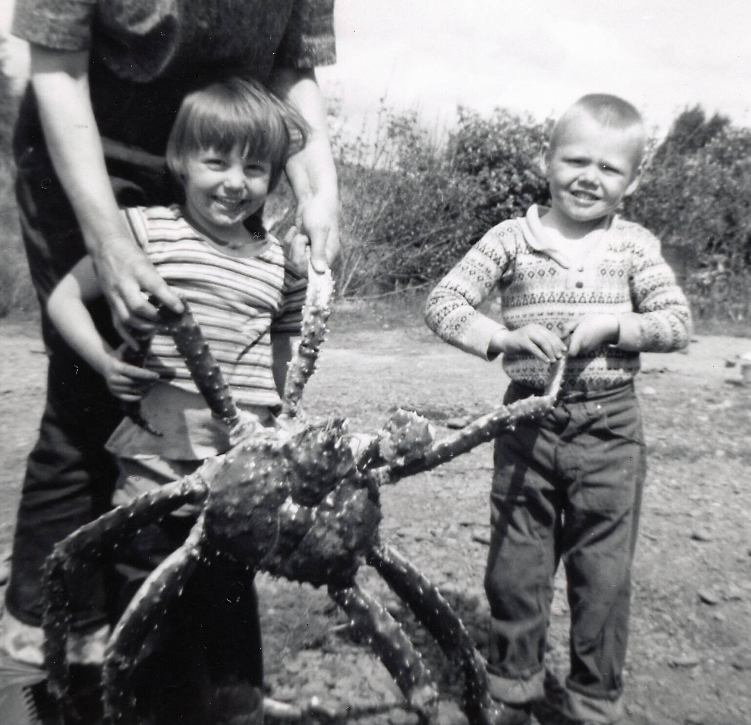 Grace, Heidi, live king crab, Eric—Seafood was another benefit of life in Homer. Pictured here in July 1961, Grace holds a live king crab, with assistance from daughter Heidi and son Eric. (Photo courtesy of the Fenger Family Collection)