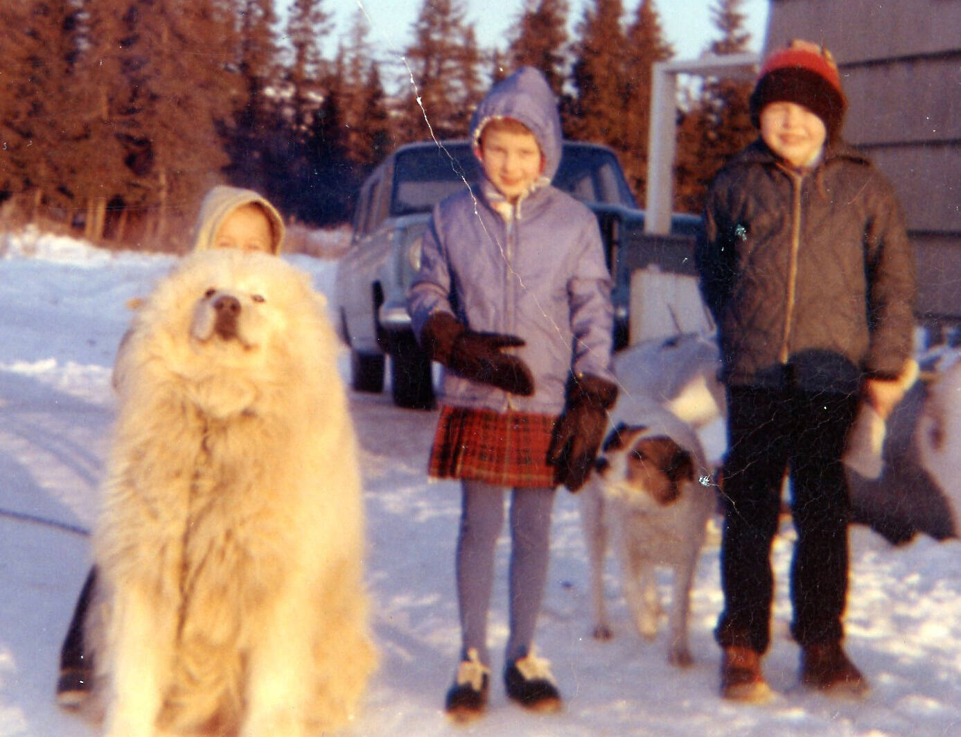 The Fenger children (Peter, at left, behind the dog, Heidi and Eric) pose near their home on the Homer bluff near the airport. Their dogs were Hartford (L) and Flojo. (Photo courtesy of the Fenger Family Collection)