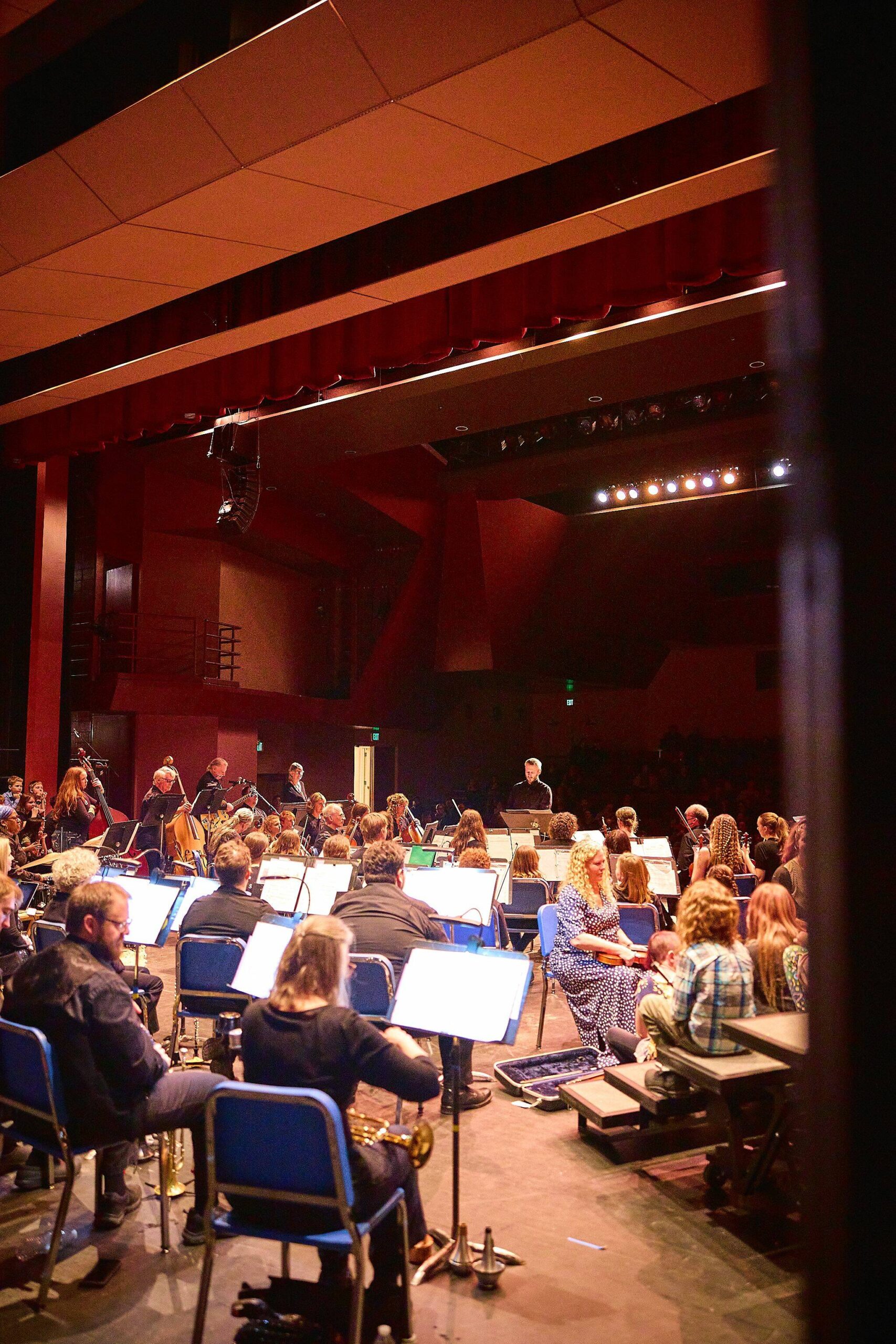 Community Link Up Concert at Homer High School Theater with elementary students and Kenai Peninsula Orchestra on Saturday March 4. Photo from Christopher Kincaid.