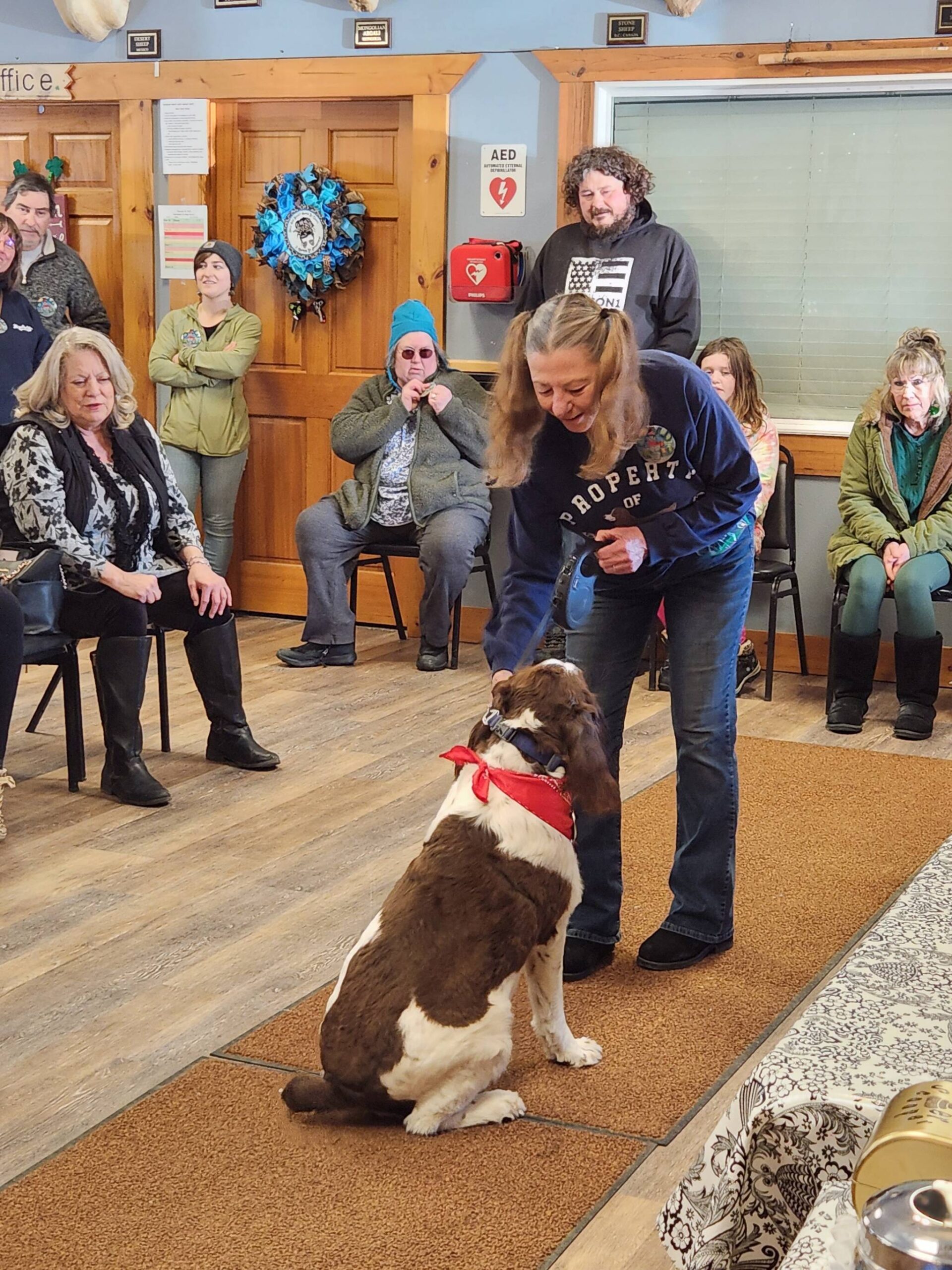 English springer Hank shakes owner Donna Statura’s hand during the Snow Rondi dog show on Sunday, March 5 at the Anchor Point Senior Center in Anchor Point, Alaska. Photo courtesy of Debbie Carpenter
