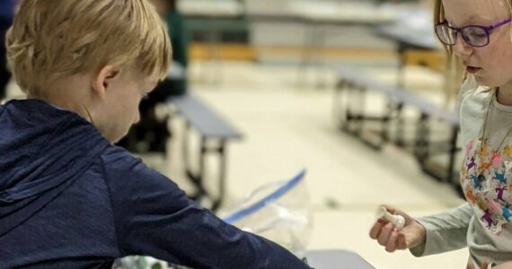 Chess tournament at West Homer gym Weds. March 8. Photo provided by Andy Haas.