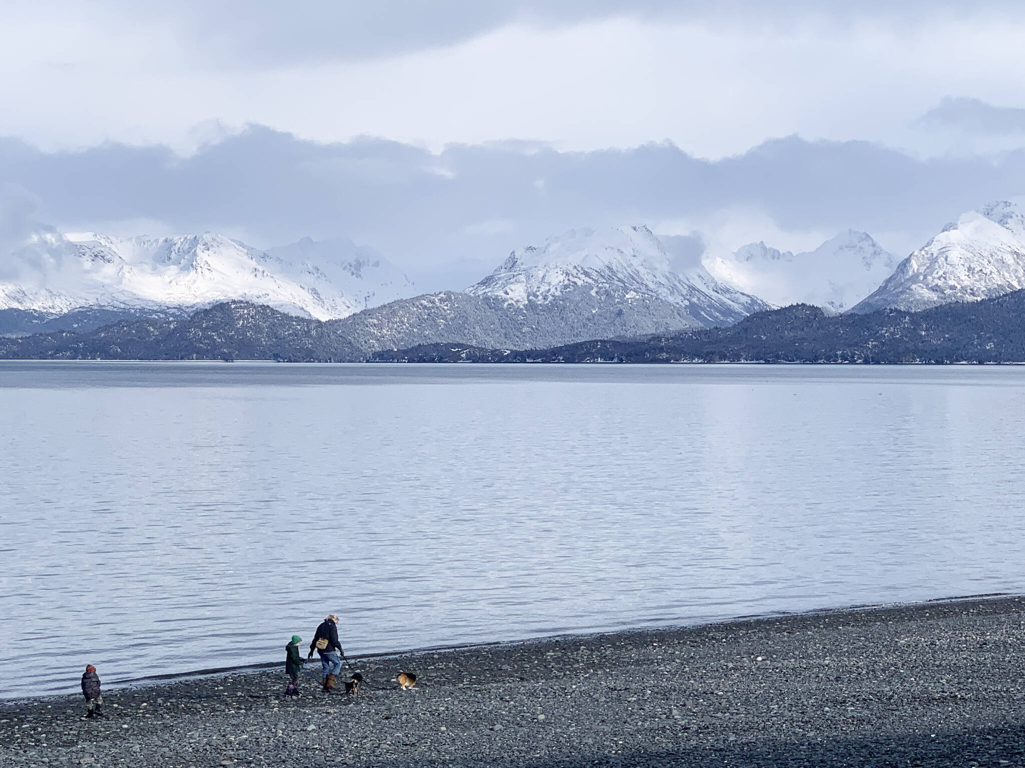 A family and their dogs enjoy a sunny day on the Homer Spit on Wednesday<ins>, March 15, 2023 in Homer, Alaska</ins>. Photo by Christina Whiting