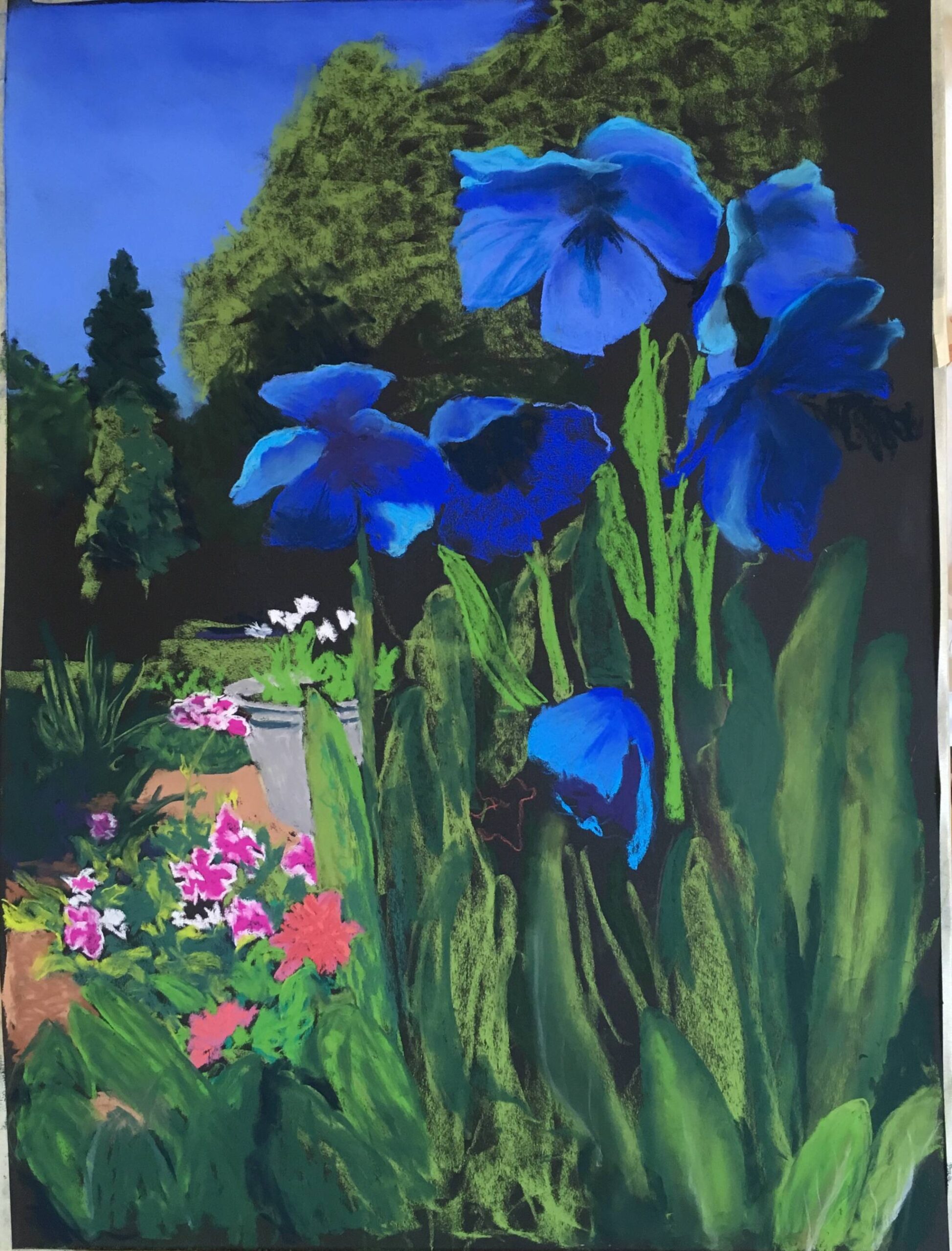 “Blue Poppies” pastel by Andie Sonneborn, who will be painting an oil or pastel during Ready Set Art. (Photo provided by Andie Sonneborn)