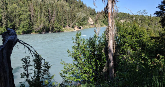 The Kasilof River is seen from the Kasilof River Recreation Area, July 30, 2019, in Kasilof, Alaska. A section of the Kasilof River estuary called “the Dinosaur Parcel,” sized at 309 acres, has been added to the Alaska State Parks system for conservation. (Photo by Erin Thompson/Peninsula Clarion)