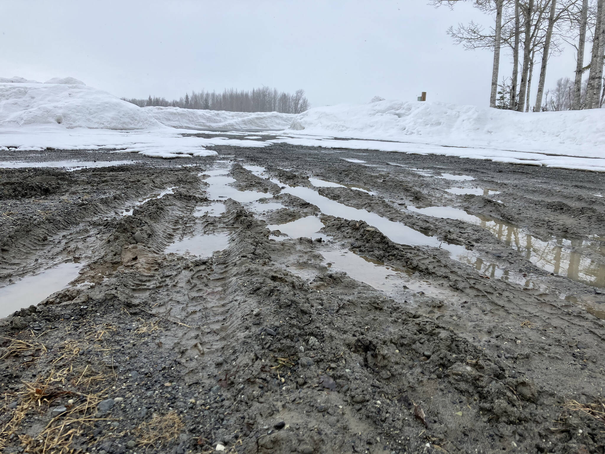 Photo courtesy Sarah McMinn
Snow falls on tire tracks and puddles of water in the mud outside the home of Jake Dye in Soldotna, Alaska, on Thursday, April 13, 2023.