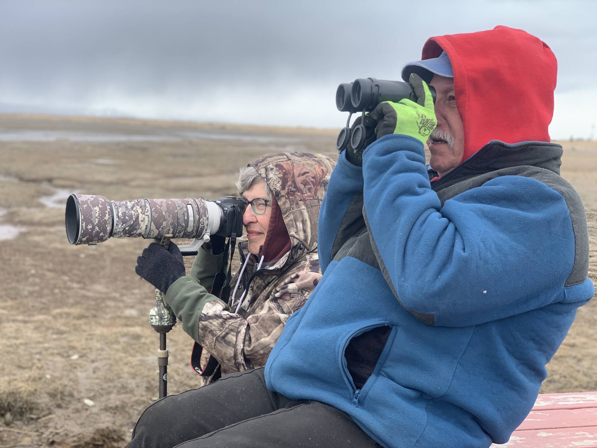 Birders Heather and David Sterling from Anchorage watch a flock of sandhill cranes descend into Beluga Slough on Sunday<ins>, April 23, 2023 in Homer, Alaska</ins>. Photo by Christina Whiting