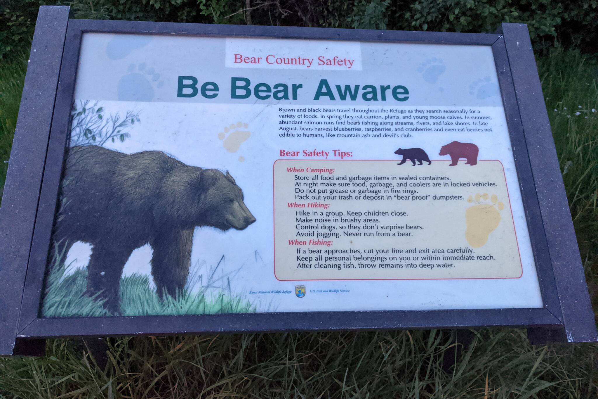 A sign offering tips on how to recreate safely around bears can be seen on Thursday, July 1, 2021, on Skilak Lake Road in the Kenai National Wildlife Refuge on the Kenai Peninsula, Alaska. (Photo by Erin Thompson/Peninsula Clarion)