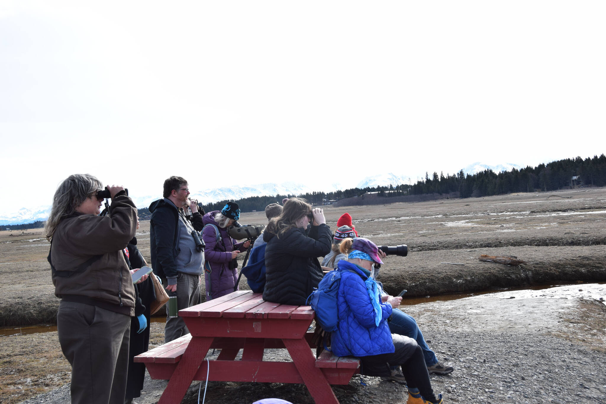Birders participate in the Birdability on Beluga Slough event on Friday, May 5, 2023, in Homer, Alaska. (Photo by Delcenia Cosman/Homer News)