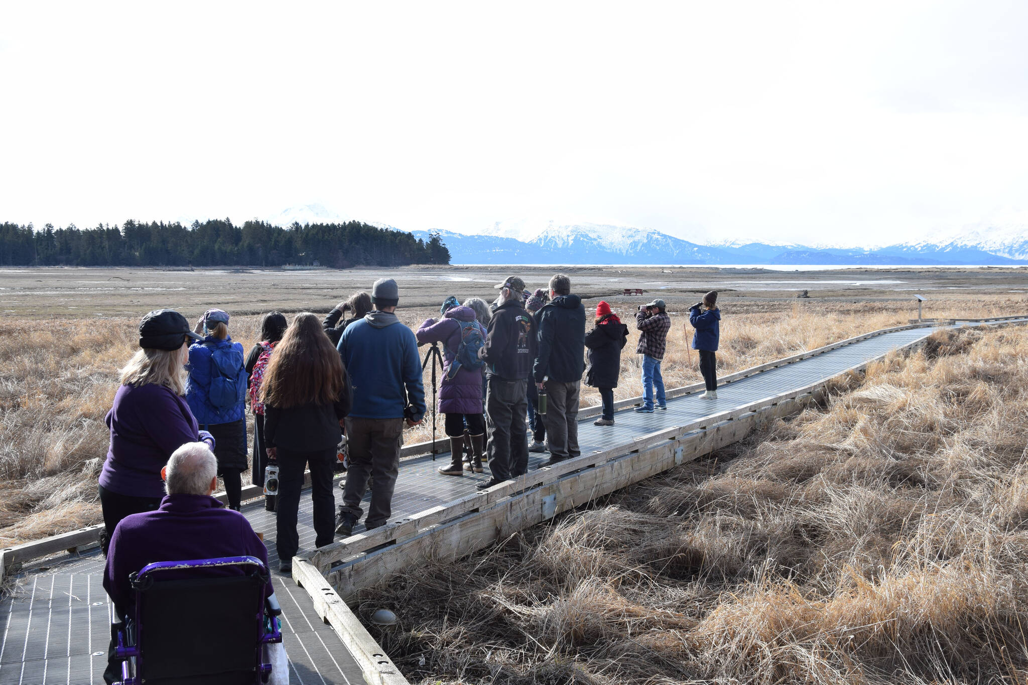 Birders participate in the Birdability on Beluga Slough event on Friday, May 5, 2023, in Homer, Alaska. (Photo by Delcenia Cosman/Homer News)