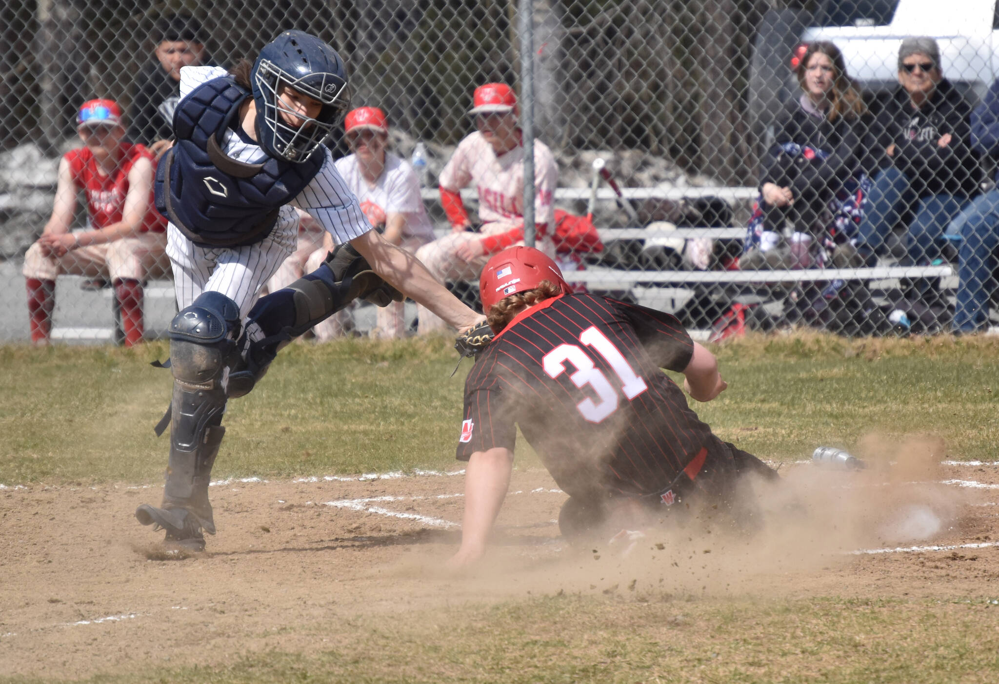 Soldotna catcher Ari Miller tags out Wasilla’s Whalen Halverson at the plate Saturday, May 13, 2023, at the Soldotna Little League fields in Soldotna, Alaska. (Photo by Jeff Helminiak/Peninsula Clarion)