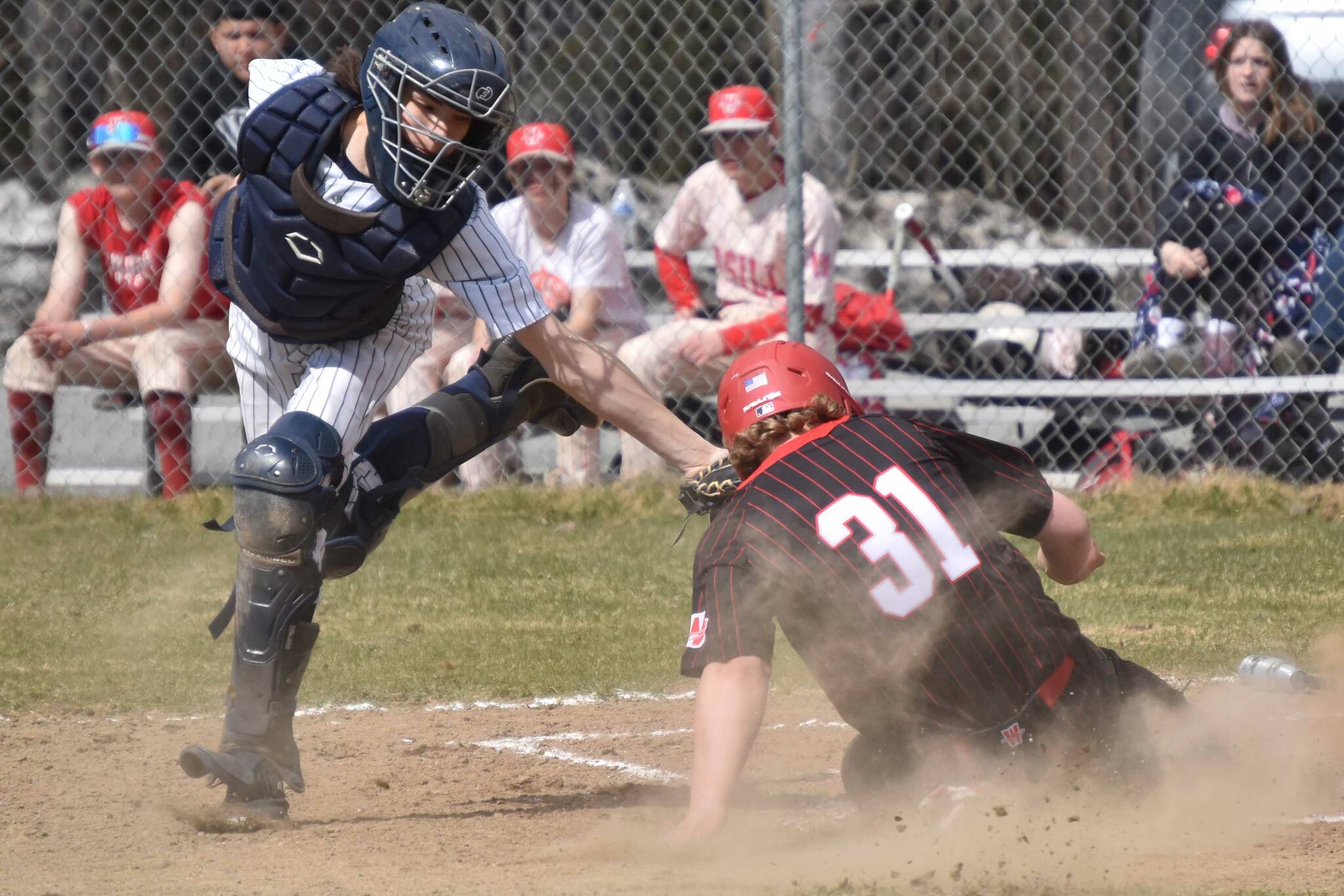Soldotna catcher Ari Miller tags out Wasilla's Whalen Halverson at the plate Saturday, May 13, 2023, at the Soldotna Little League fields in Soldotna, Alaska. (Photo by Jeff Helminiak/Peninsula Clarion)