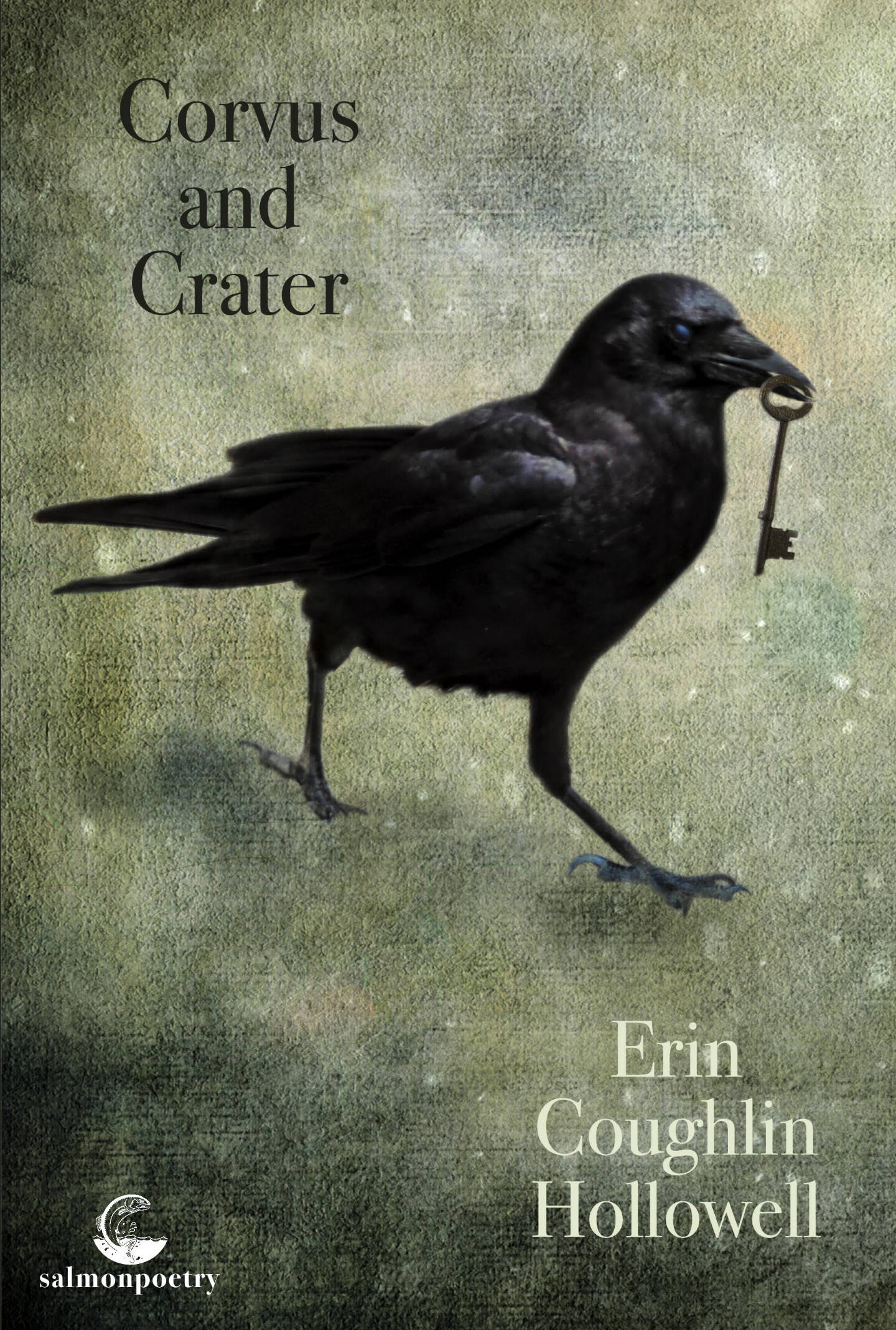 Cover artwork of Erin Coughlin Hollowell’s latest poetry collection. Photo provided by Erin Hollowell