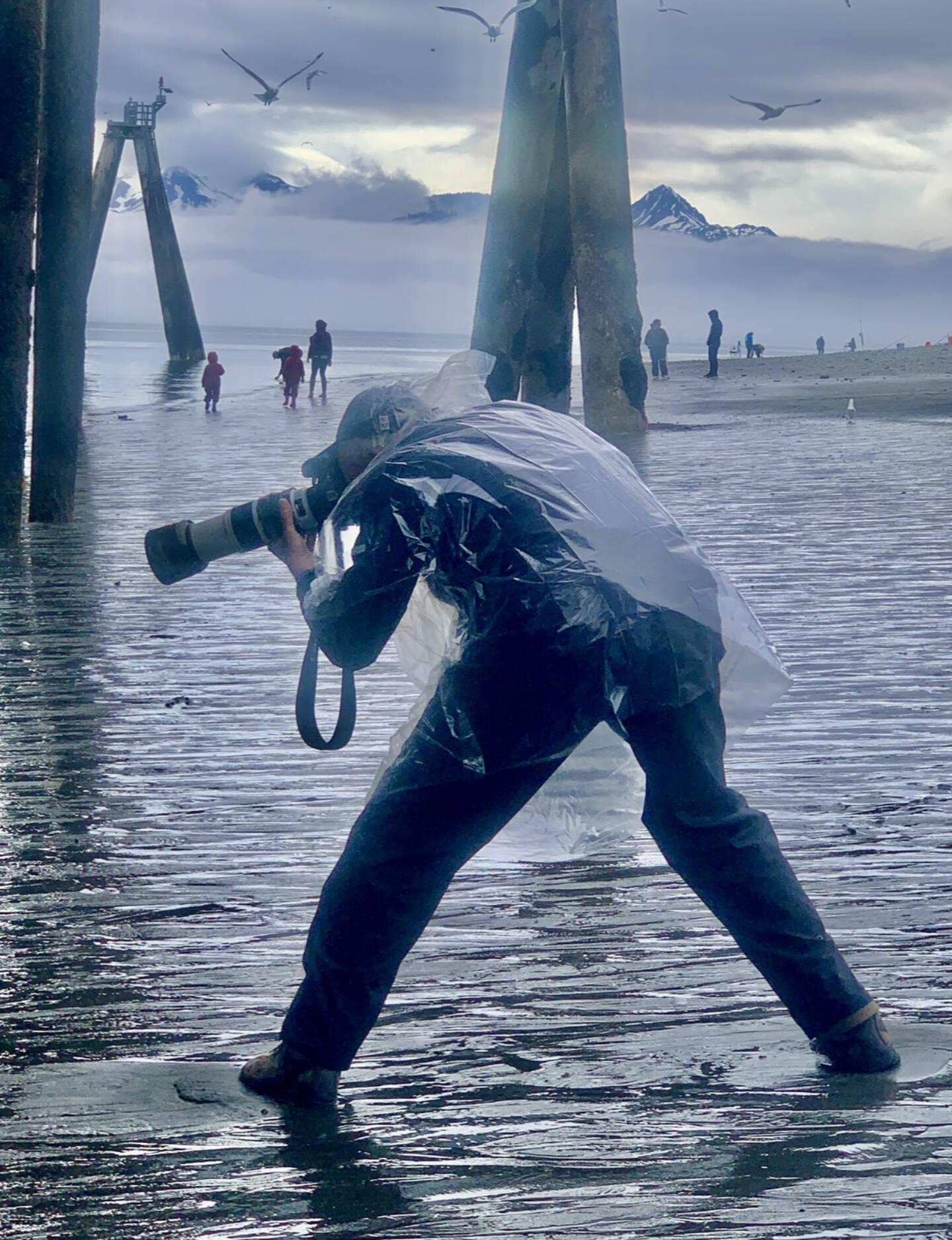 A visitor from Minnesota photographs seastars at the beach by Land’s End Resort during a moderately low tide on Tuesday, June 20, 2023 in Homer, Alaska. Photo by Christina Whiting