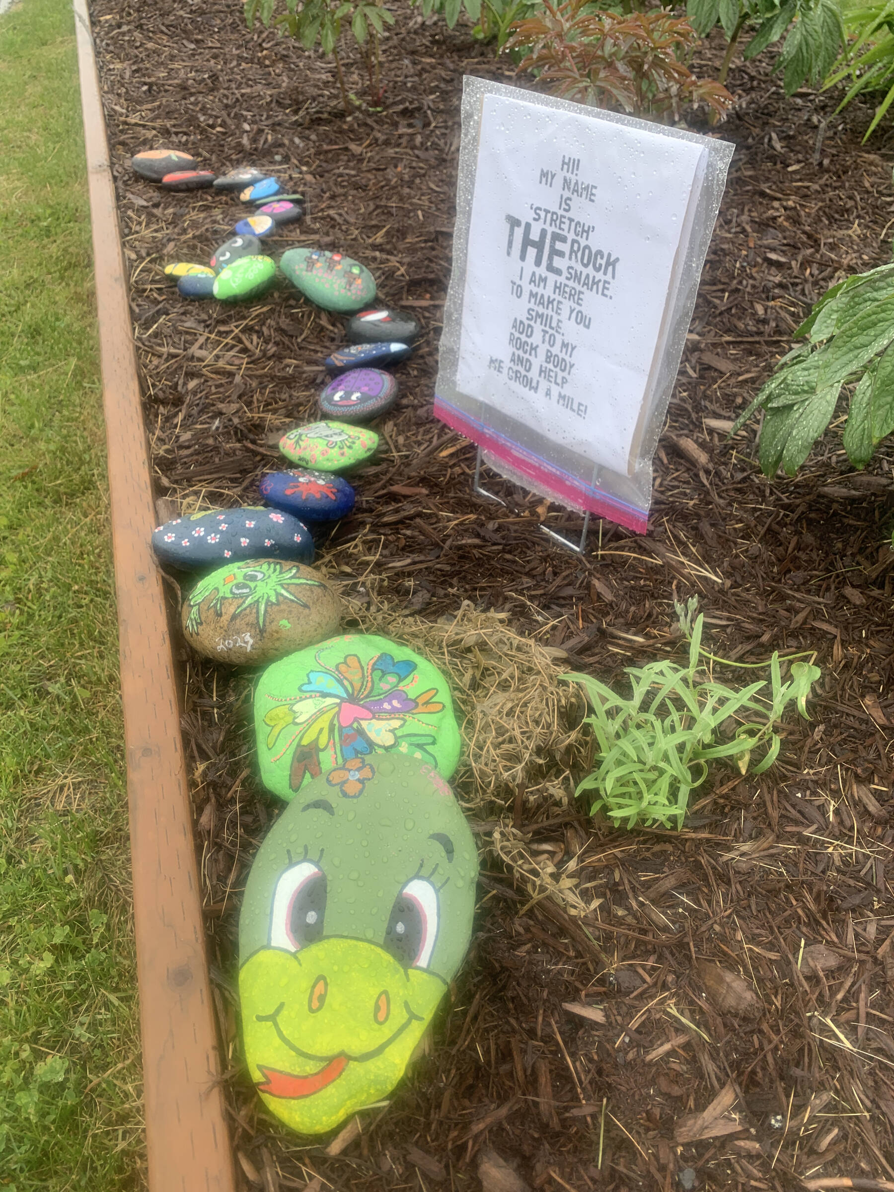“Stretch” the painted rock snake, created by an anonymous community member, greets visitors to WKFL Park on Thursday, June 22, 2023 in the hopes of more rocks being added all summer long in Homer, Alaska. Photo by Christina Whiting