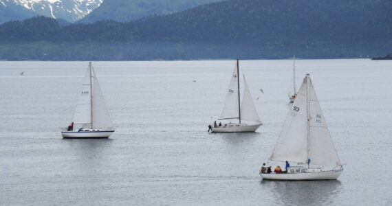Members of the Homer Yacht Club start the course set for the Homer Yacht Club Regatta on Saturday, June 26, 2023 in the Kachemak Bay below Land's End Resort in Homer, Alaska. Homer Yacht Club Commodore Craig Forrest is on number 93, the Arctica.